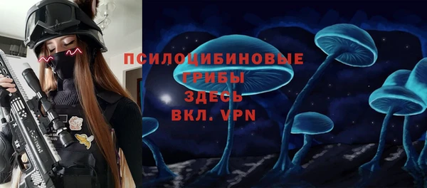 МДПВ Белокуриха