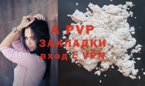прущие грибы Ельня