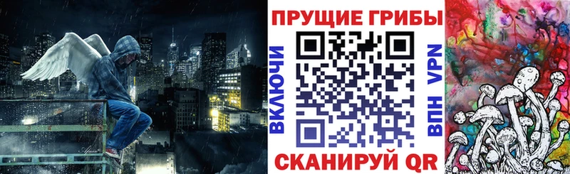 Псилоцибиновые грибы Psilocybe  ОМГ ОМГ зеркало  Валуйки  закладки 